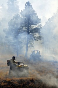 Firefighters monitor the fire line during a prescribed burn. Taken by Brady Smith. Credit: USDA Forest Service, Coconino National Forest.